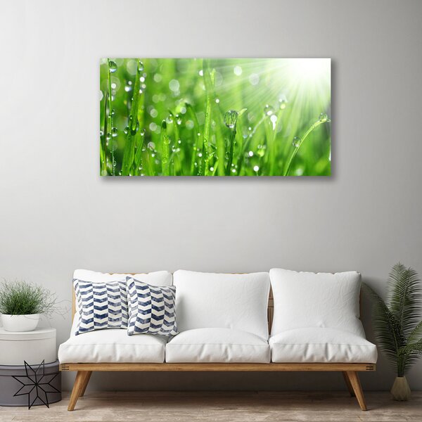 Quadro su tela Natura, erba, gocce 100x50 cm