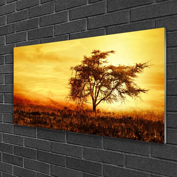 Quadro in vetro Albero della natura 100x50 cm 2 appendini