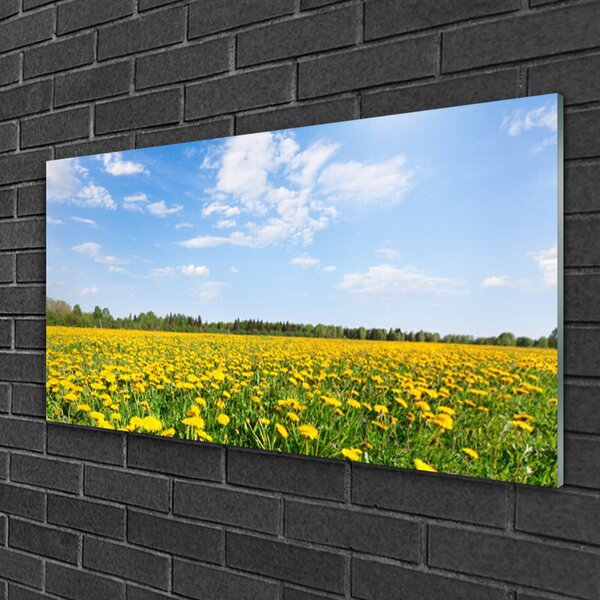 Quadro in vetro Prato del dente di leone 100x50 cm 2 appendini