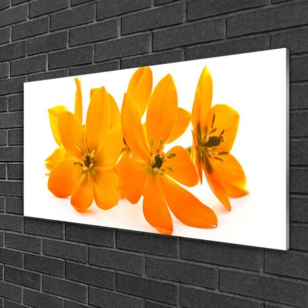 Quadro in vetro Pianta di fiori d'arancio 100x50 cm 2 appendini