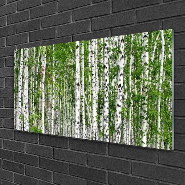 Quadro vetro Bosco di betulle Alberi Natura 100x50 cm 2 appendini