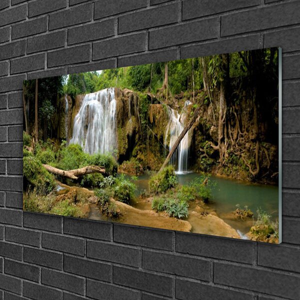 Quadro in vetro Cascata Fiume Foresta Natura 100x50 cm 2 appendini
