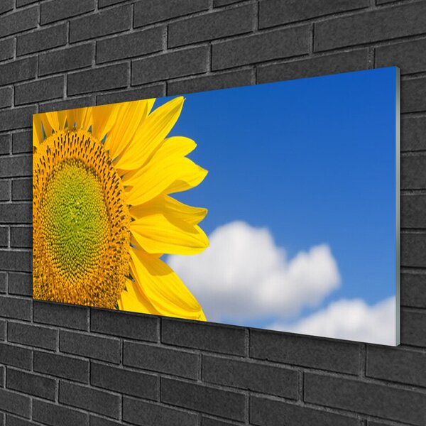 Quadro vetro Girasole Cielo Nuvole 100x50 cm 2 appendini