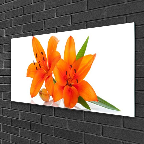 Quadro in vetro Pianta di fiori d'arancio 100x50 cm 2 appendini