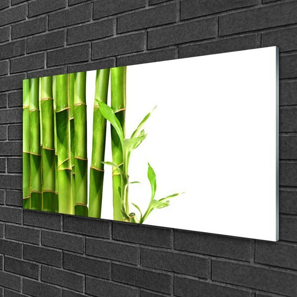 Quadro su vetro Pianta di bambù 100x50 cm 2 appendini