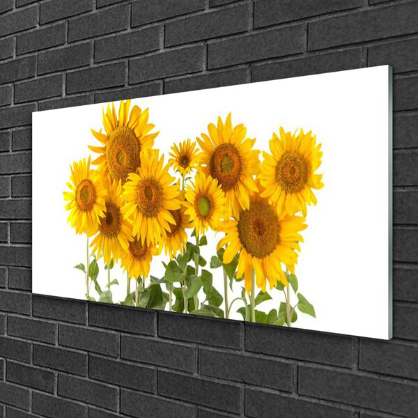 Quadro vetro Piantare i girasoli 100x50 cm 2 appendini