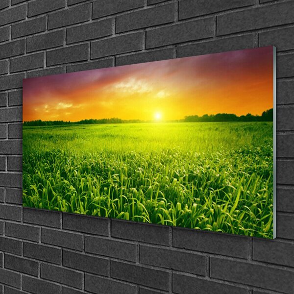 Quadro vetro Alba del campo di grano 100x50 cm 2 appendini