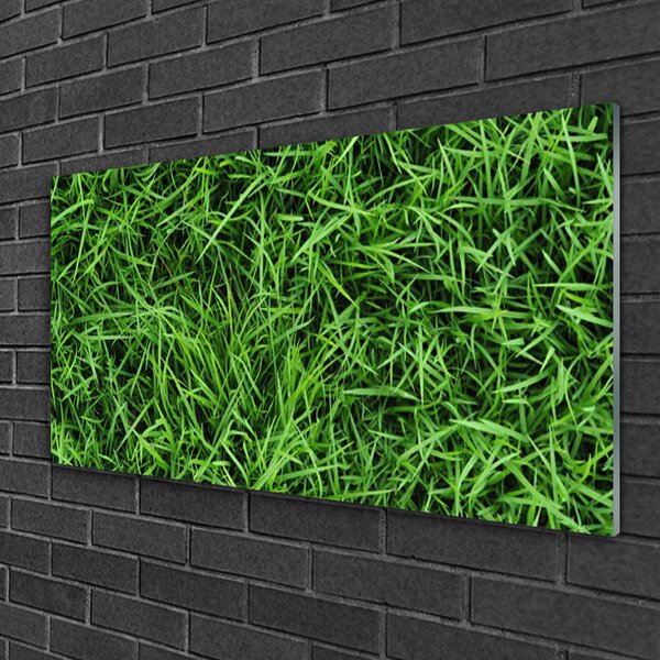 Quadro in vetro Prato d'erba 100x50 cm 2 appendini