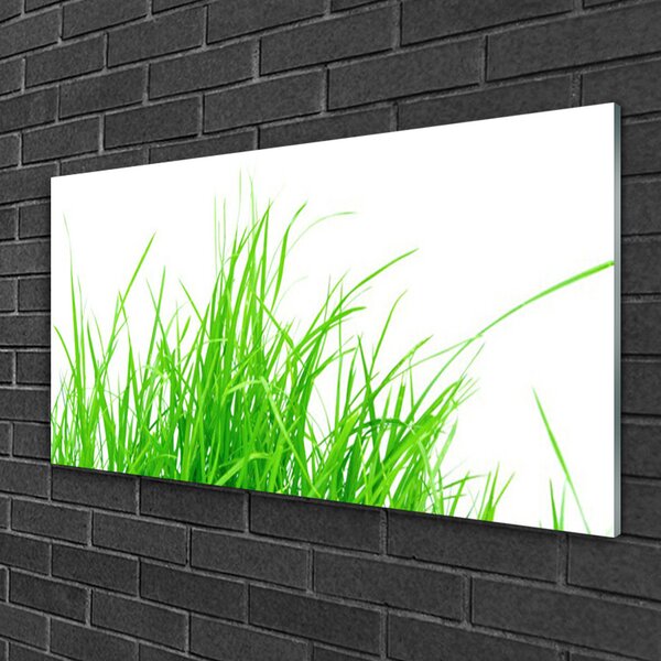 Quadro su vetro Pianta d'erba 100x50 cm 2 appendini