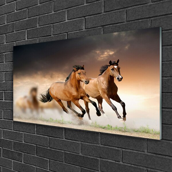 Quadro vetro Cavalli Animali 100x50 cm 2 appendini