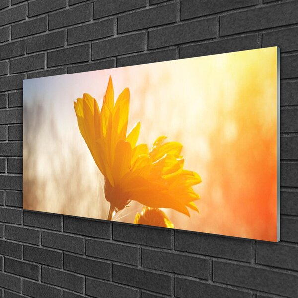 Quadro in vetro Girasole 100x50 cm 2 appendini