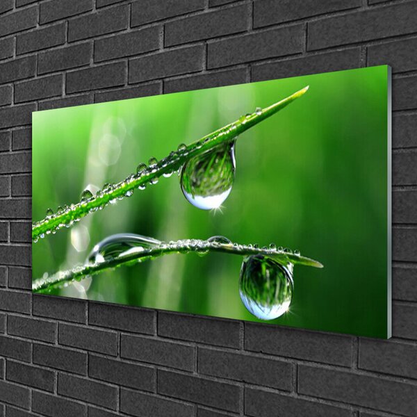 Quadro su vetro Gocce di Erba Rosa 100x50 cm 2 appendini