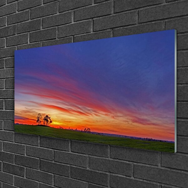 Quadro in vetro Paesaggio Campo Alberi Natura 100x50 cm 2 appendini