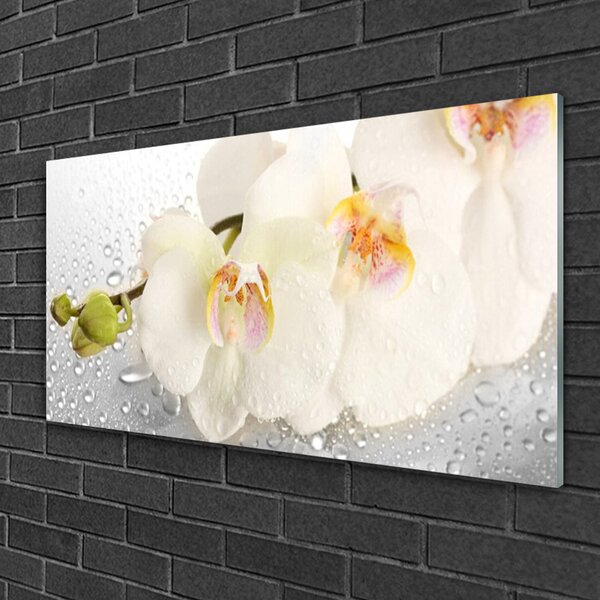 Quadro vetro Fiori da parete 100x50 cm 2 appendini
