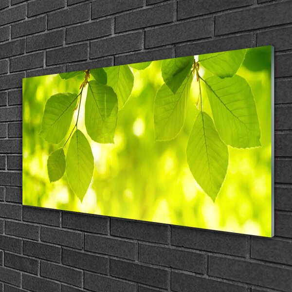 Quadro di vetro Foglie sul muro 100x50 cm 2 appendini