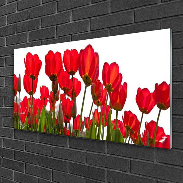 Quadro in vetro Fiori da parete 100x50 cm 2 appendini