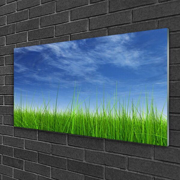 Quadro vetro Erba del cielo Pianta naturale 100x50 cm 2 appendini