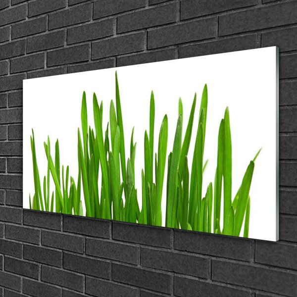 Quadro in vetro Erba per il muro 100x50 cm 2 appendini