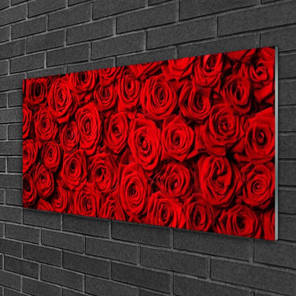 Quadro in vetro Rose per il muro 100x50 cm 2 appendini