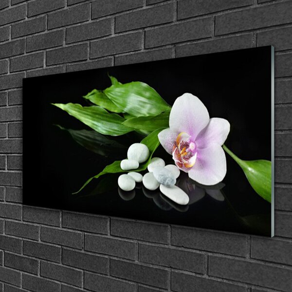 Quadro di vetro Pietre Fiore Foglie 100x50 cm 2 appendini