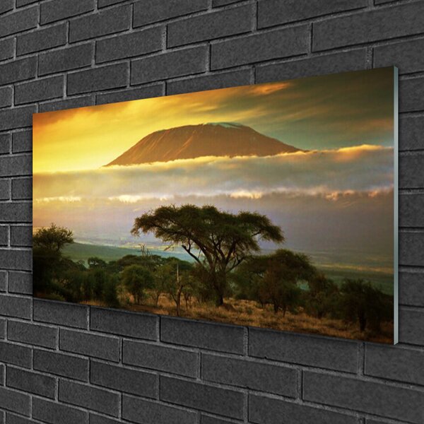 Quadro in vetro Albero Montagna Natura Picco 100x50 cm 2 appendini