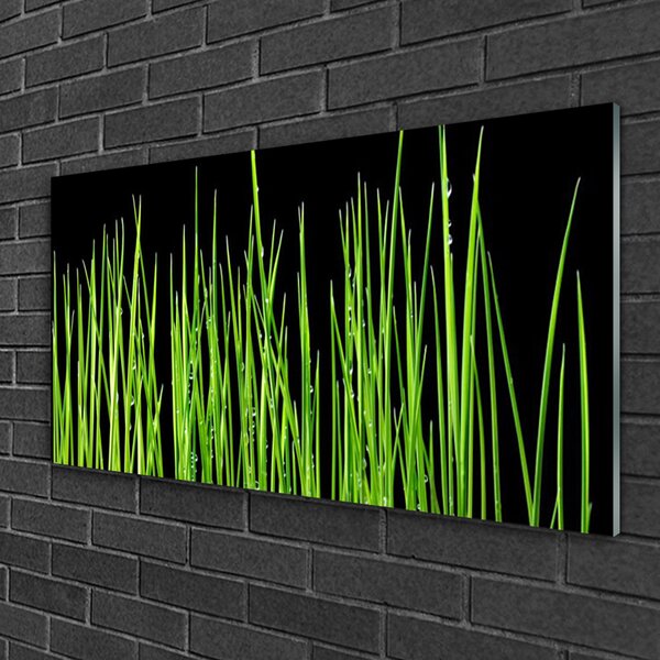Quadro in vetro Pianta d'erba 100x50 cm 2 appendini