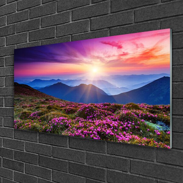 Quadro vetro Montagne Prato Fiori Paesaggio 100x50 cm 2 appendini