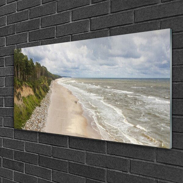 Quadro in vetro Spiaggia Mare Albero Natura 100x50 cm 2 appendini