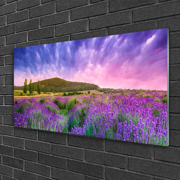 Quadro su vetro Prato Fiori Montagna Natura 100x50 cm 2 appendini