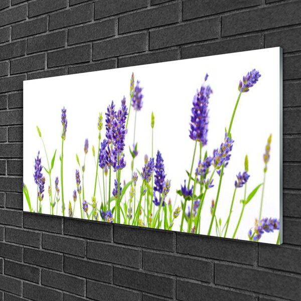 Quadro su vetro Fiori da parete 100x50 cm 2 appendini