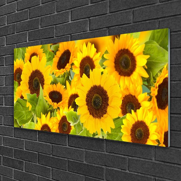 Quadro in vetro Piantare i girasoli 100x50 cm 2 appendini