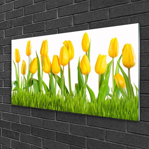 Quadro in vetro Tulipani per il muro 100x50 cm 2 appendini