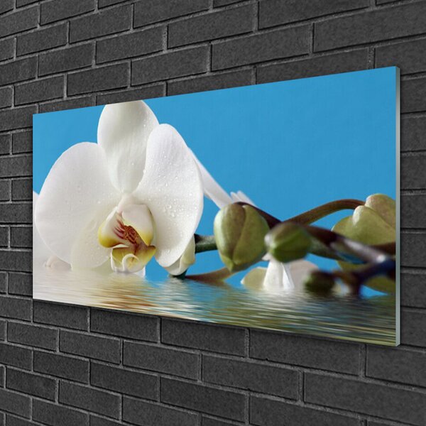 Quadro di vetro Fiore Pianta naturale 100x50 cm 2 appendini