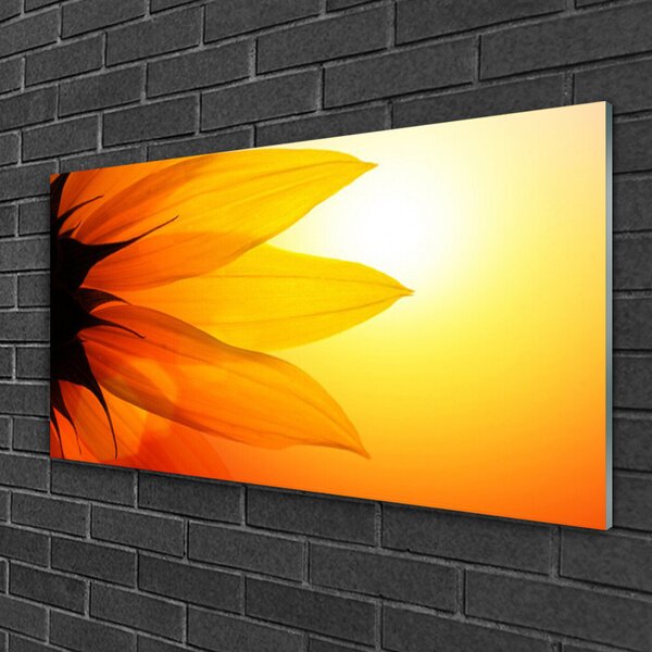 Quadro su vetro Fiore Pianta naturale 100x50 cm 2 appendini