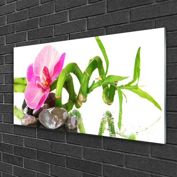 Quadro in vetro Fiore Pianta naturale 100x50 cm 2 appendini