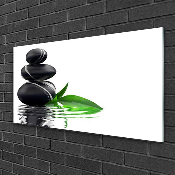Quadro di vetro Pietre Foglie Arte dell'acqua 100x50 cm 2 appendini
