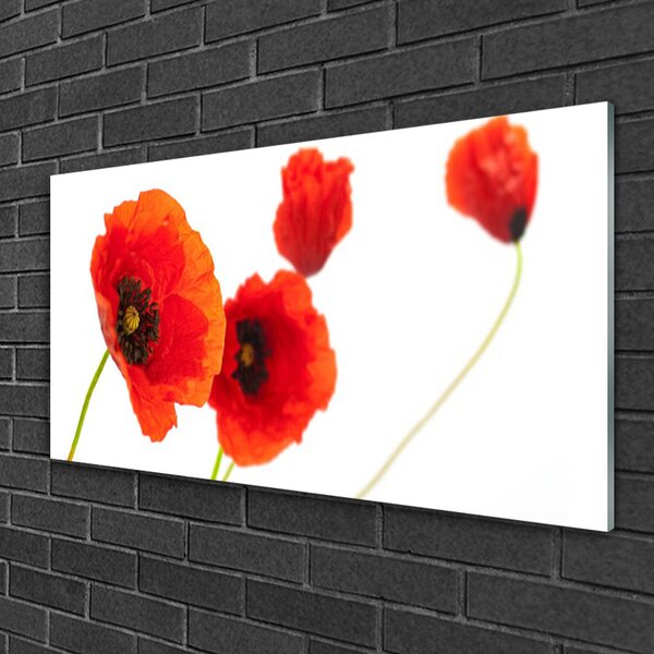 Quadro in vetro Pianta di fiori 100x50 cm 2 appendini
