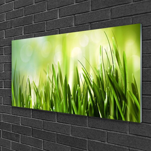 Quadro in vetro Erba Natura 100x50 cm 2 appendini
