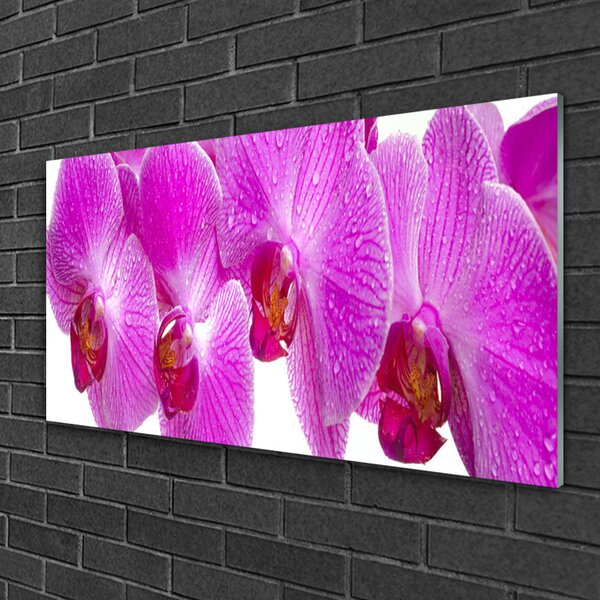 Quadro in vetro Fiori Pianta naturale 100x50 cm 2 appendini