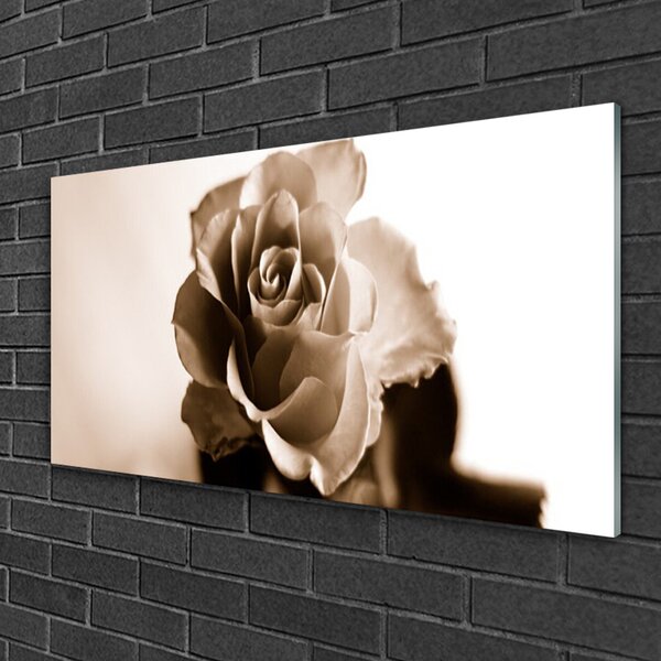 Quadro vetro Pianta di fiori di rosa 100x50 cm 2 appendini