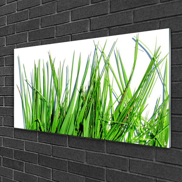 Quadro di vetro Erba per il muro 100x50 cm 2 appendini
