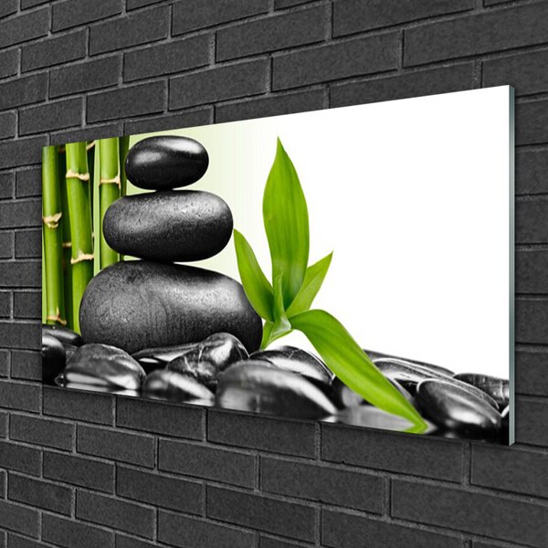 Quadro vetro Pietre Foglie Arte 100x50 cm 2 appendini