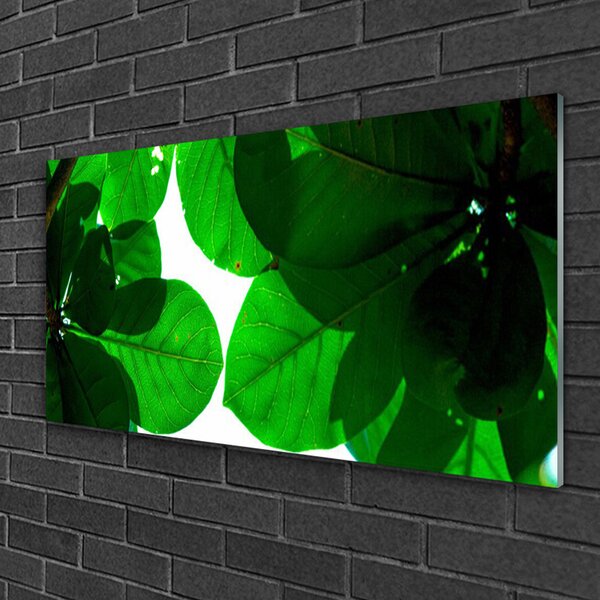 Quadro vetro Foglie sul muro 100x50 cm 2 appendini