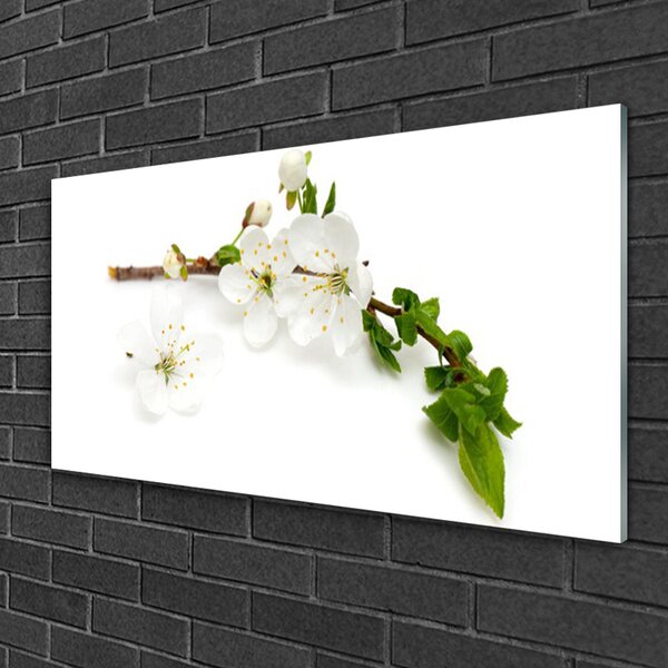 Quadro in vetro Fiore Ramo Natura Pianta 100x50 cm 2 appendini