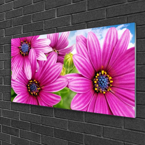 Quadro in vetro Fiori da parete 100x50 cm 2 appendini