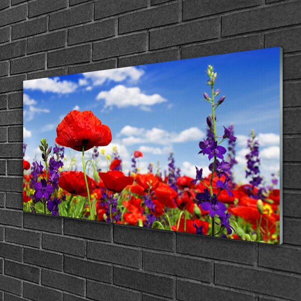 Quadro di vetro Fiori da parete 100x50 cm 2 appendini