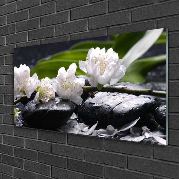 Quadro in vetro Pietre di fiori 100x50 cm 2 appendini