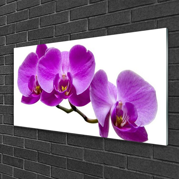 Quadro su vetro Fiori da parete 100x50 cm 2 appendini