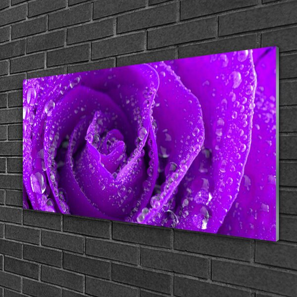 Quadro in vetro Pianta di fiori di rosa 100x50 cm 2 appendini