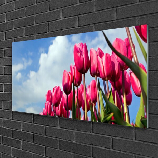 Quadro in vetro Muro di tulipani 100x50 cm 2 appendini